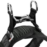 Hunter Ham Hilo Confort XS