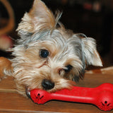 Hunter Jucarie Kong Goodie Bone 18 Cm