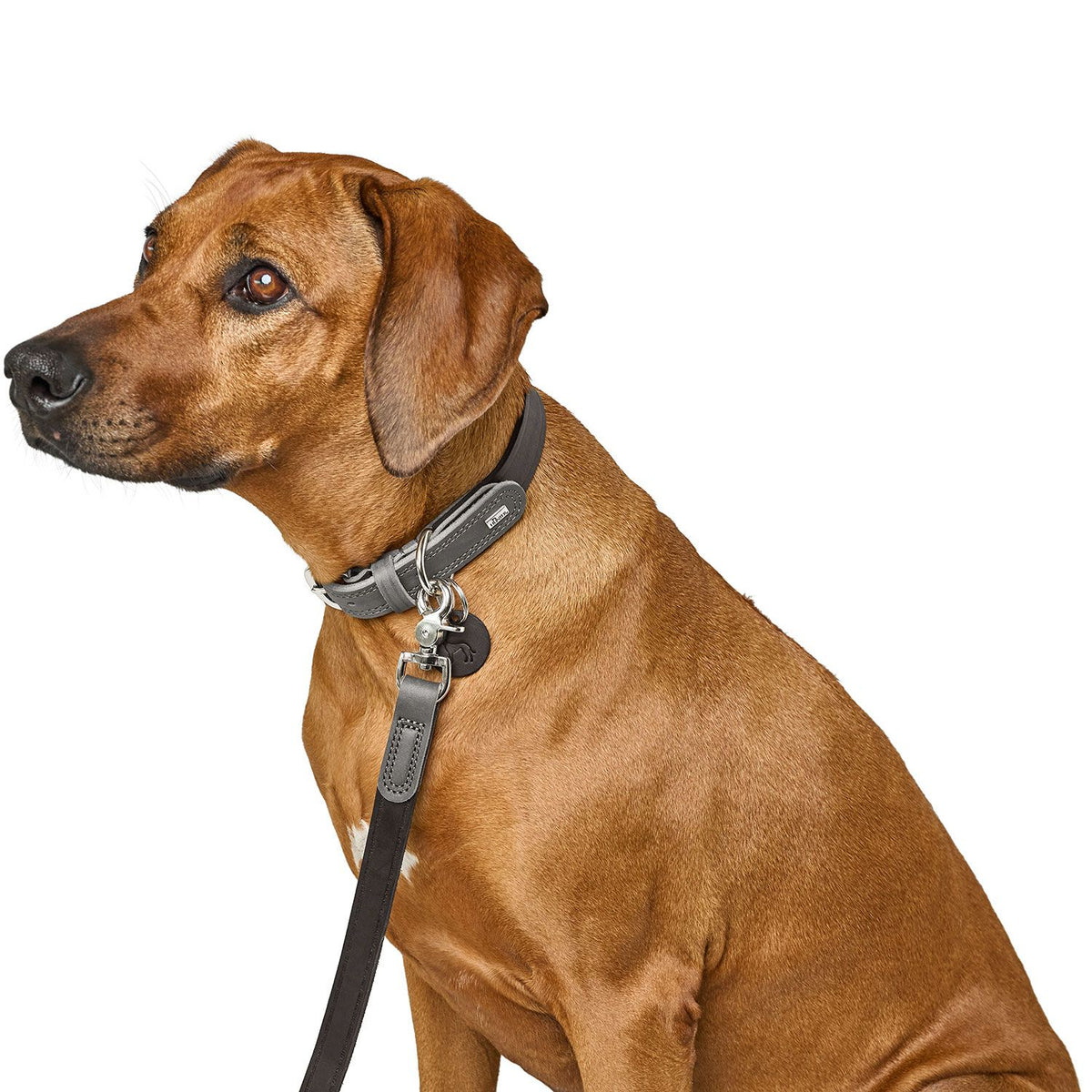 Hunter Lesa de Antrenament Lemvig din Piele Naturala 1.5/200 Cm