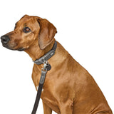 Hunter Lesa de Antrenament Lemvig din Piele Naturala 1.5/200 Cm