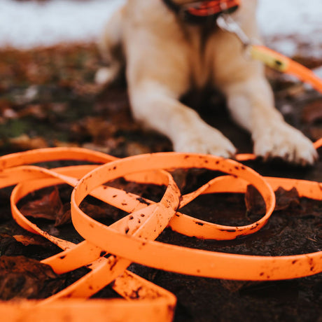Hunter Lesa Training Leash Convenience 20/1200 Cm