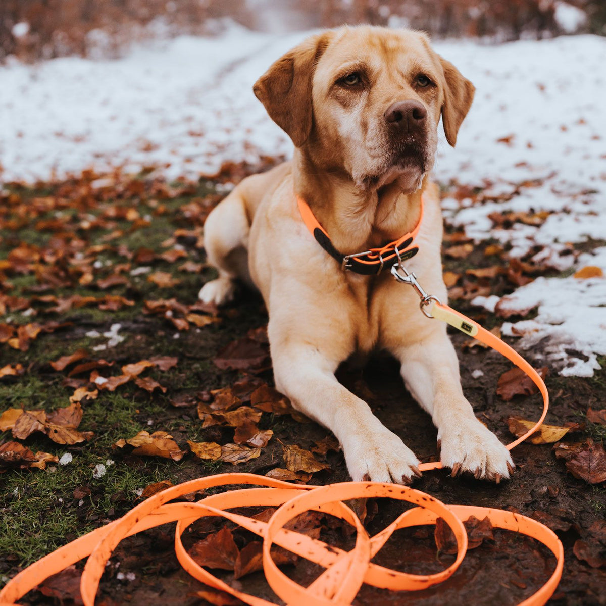Hunter Lesa Training Leash 15/1200 Cm