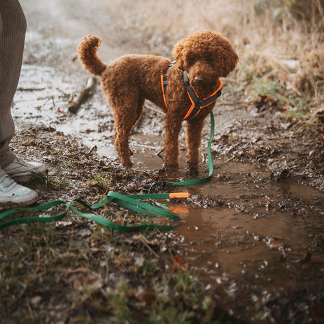 Hunter Lesa Training Leash Convenience 20/1200 Cm