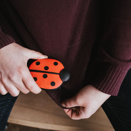 Hunter Perie Ladybug pentru Indepartarea Parului de Animale