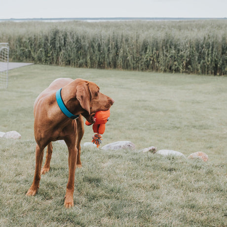 Hunter Zgarda Convenience S 40 Cm