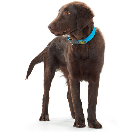 Hunter Zgarda Convenience M 50 Cm