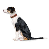 Hunter Zgarda Havanna Mini S 40 Cm