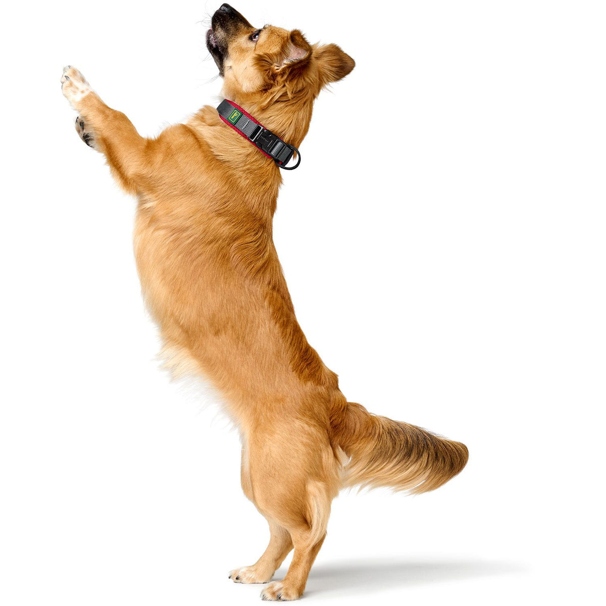 Hunter Zgarda Maldon M