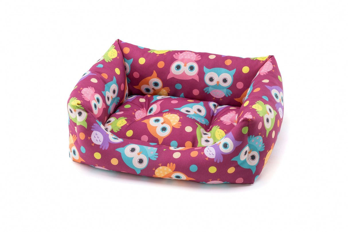Leopet Leopet Culcus Rodi Owls