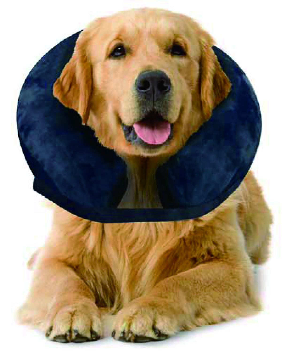 Pawise Pawise Guler Protectie Gonflabil - imagine 2
