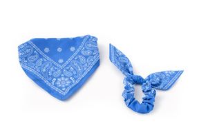 Leopet Twinlook Set Bandana cu Elastic de Par Asortat Blue