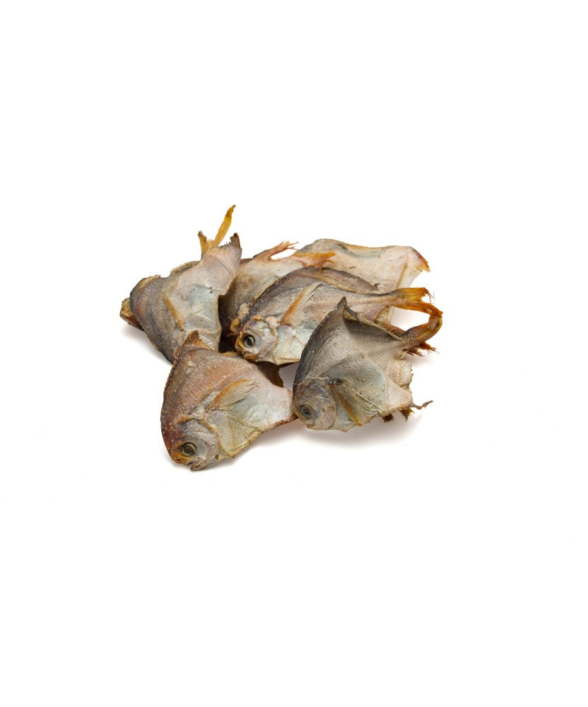Leopet Viking Barf Pomfret Fish 100 Gr