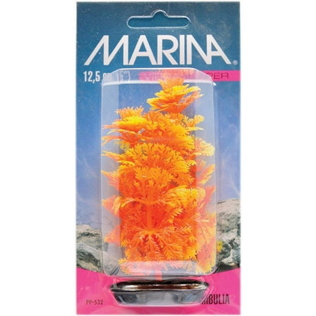 Marina Planta Color Ambulia