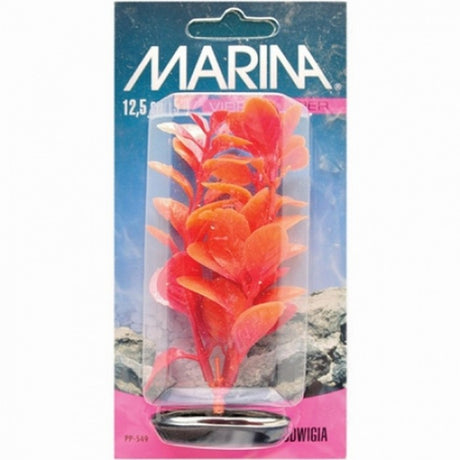 Marina Planta Color Red Ludwigia
