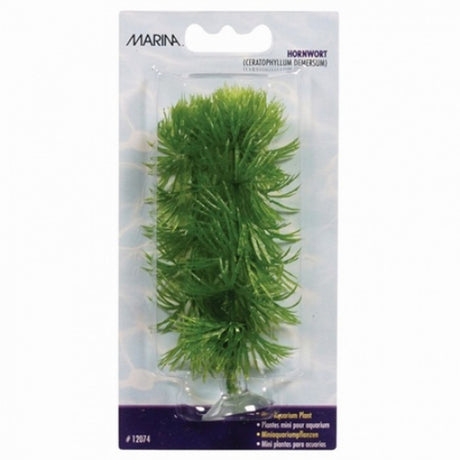 Marina Planta Mini Hornwort