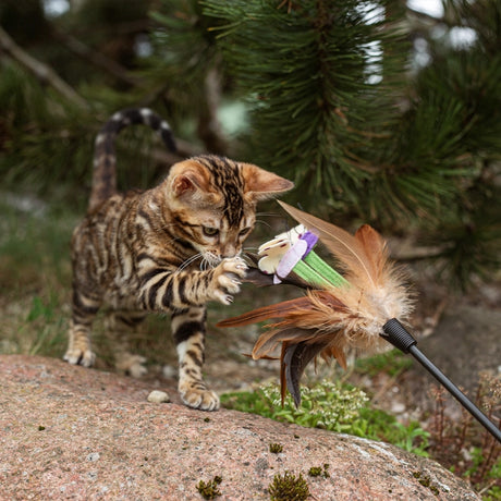 Nature's Protection Lifestyle Nature's Protections Lifestyle Sterilised Cat Soup cu Somon - imagine 3