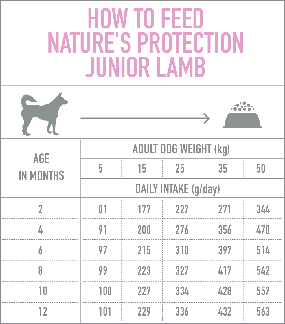 Nature's Protection Dog Junior Lamb