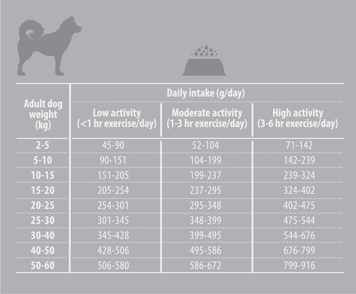 Superior Care Hypoallergenic Grain Free Adult All Breeds cu Somon