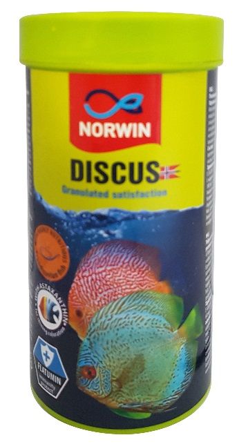 Norwin Discus