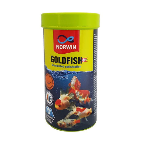 Norwin Goldfish