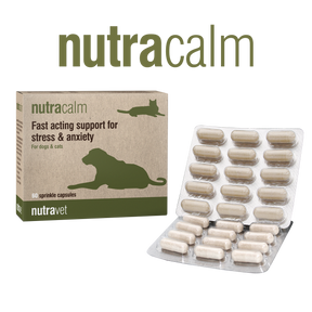 Nutravet Nutravet Nutracalm Sprijin pentru Anxietate Caini si Pisici 15 Capsule