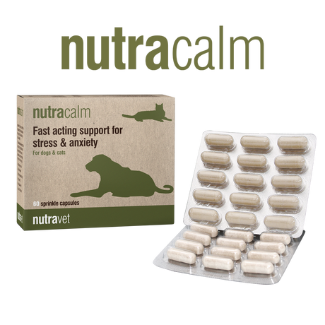 Nutravet Nutravet Nutracalm Sprijin pentru Anxietate Caini si Pisici 15 Capsule