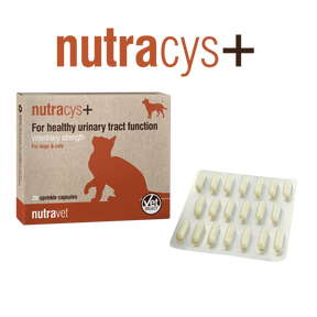 Nutravet Nutravet Nutracys+ Sustinerea Tractului Urinar Caini si Pisici 20 Capsule