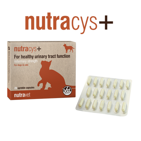 Nutravet Nutravet Nutracys+ Sustinerea Tractului Urinar Caini si Pisici 20 Capsule