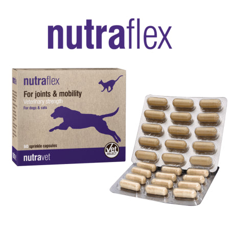 Nutravet Nutravet NutraFlex Suport pentru Articulatii si Mobilitate Caini si Pisici 60 Capsule