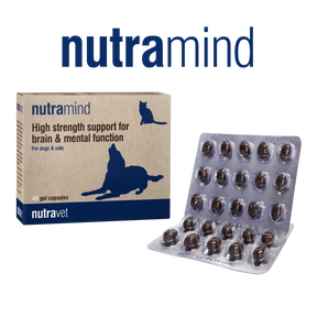 Nutravet Nutravet Nutramind Sprijin pentru Sanatatea Creierului Caini si Pisici 45 Capsule