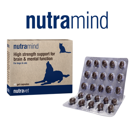 Nutravet Nutravet Nutramind Sprijin pentru Sanatatea Creierului Caini si Pisici 45 Capsule