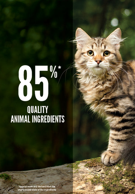 Orijen Orijen Cat Tundra 5.4 Kg - imagine 3