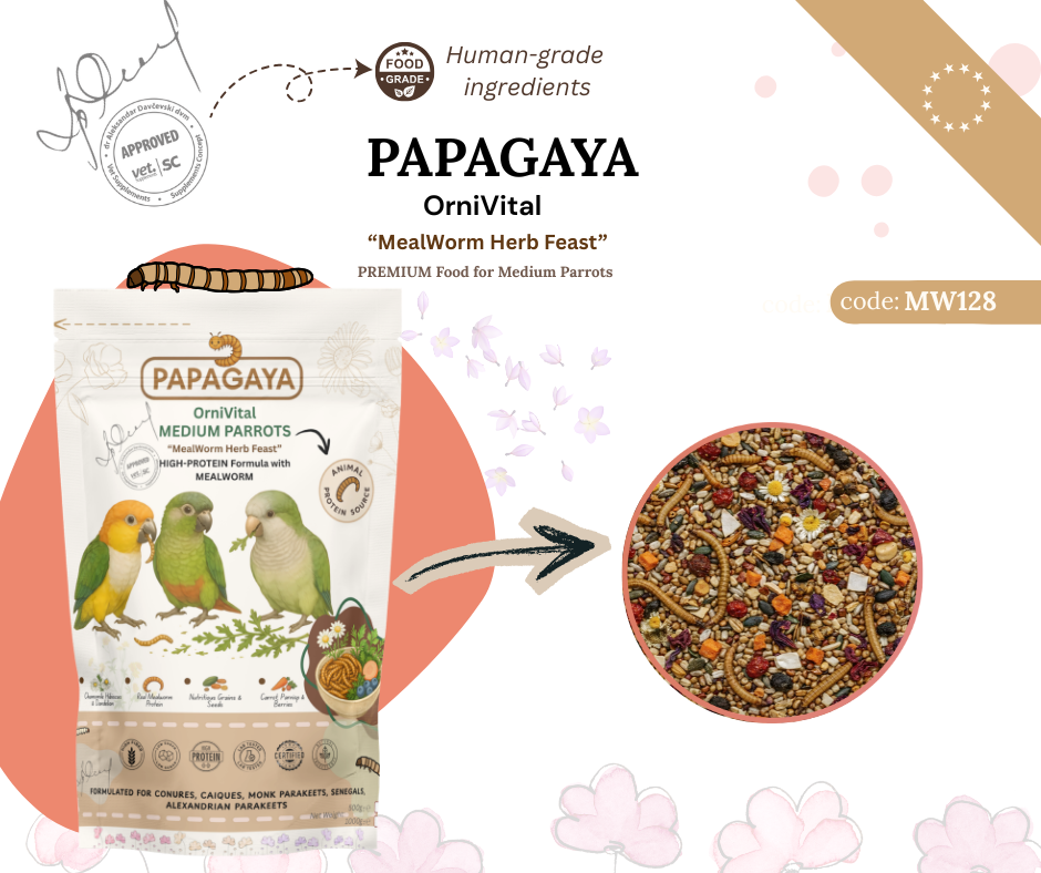 Papagaya OrniVital MealWorm Herb Feast High Protein pentru Papagali de Talie Medie