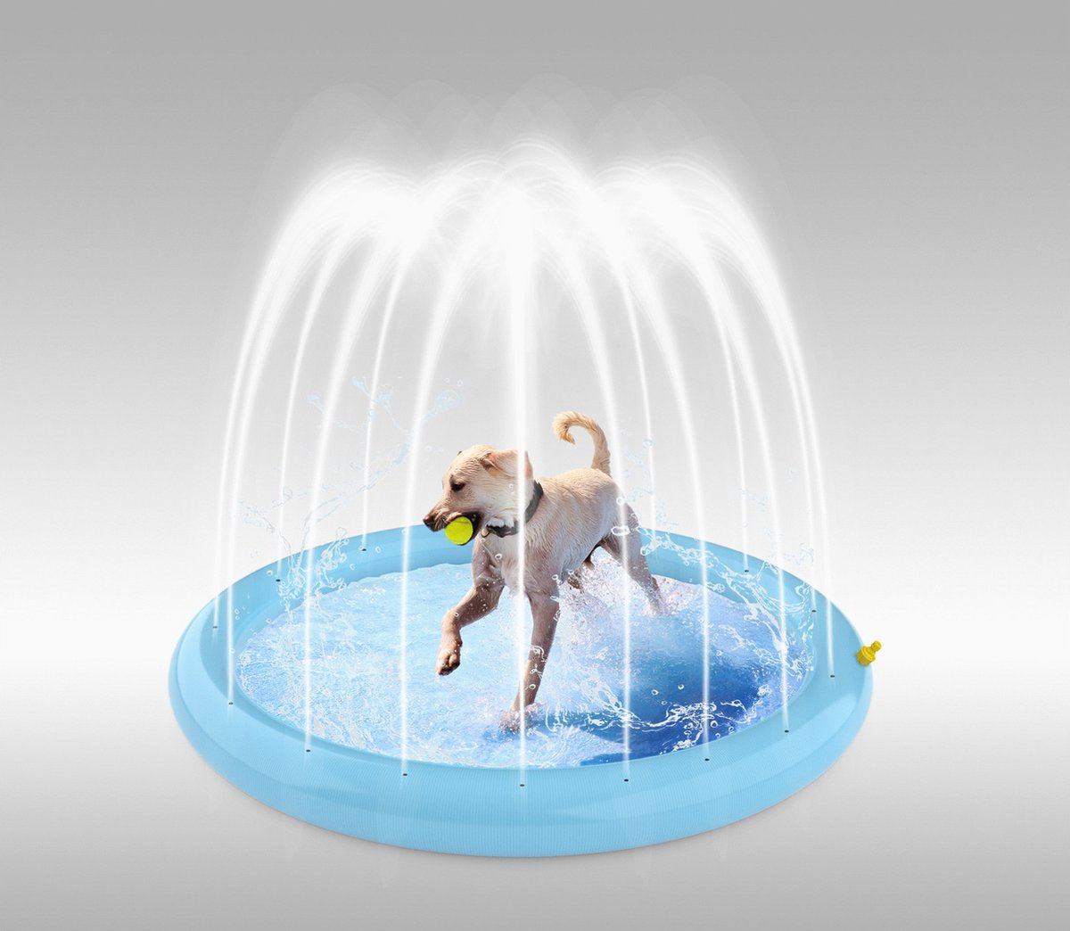 Pawise Pawise Saltea Splash 100 CM - imagine 1