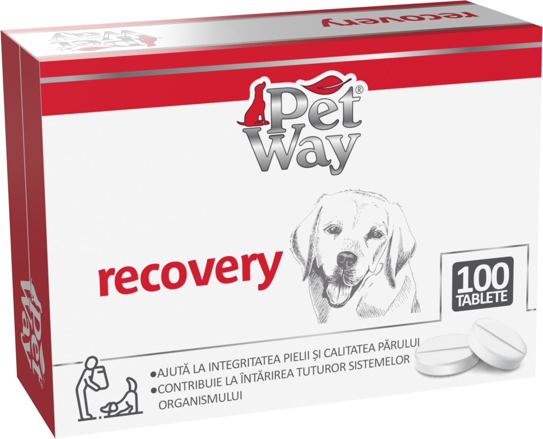 Petway Recovery - 100 Tablete