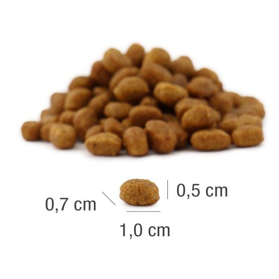 Platinum Adult Cat Meat Crisp Hrana Uscata cu Pui