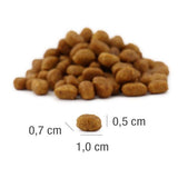 Platinum Adult Cat Meat Crisp Hrana Uscata cu Pui