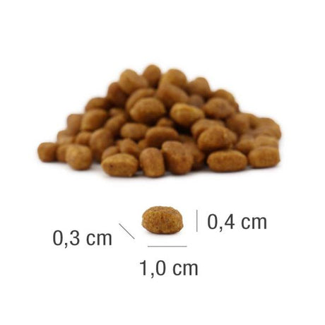 Platinum Meat Crisp Kitten Hrana Uscata cu Pui