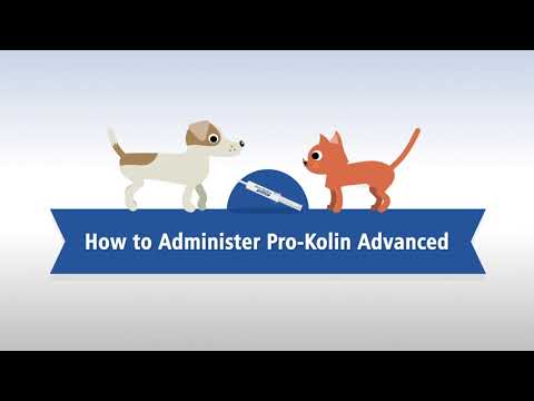 Protexin Vet Protexin Pro-Kolin Advanced pentru Pisici - video