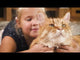Nature's Protection Lifestyle Nature's Protection Lifestyle Grain Free Sterilised Cat with White Fish - video