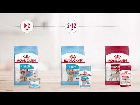 Royal Canin Royal Canin Medium Puppy - video