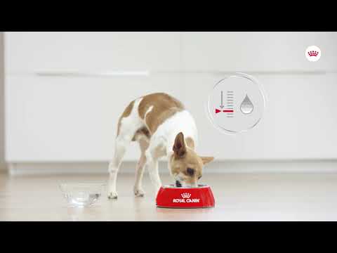 Royal Canin Royal Canin Mini Urinary Care - video