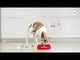 Royal Canin Royal Canin Mini Urinary Care - video