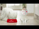 Royal Canin Royal Canin Mini Sterilised - video