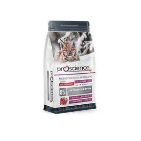 Pro Science Pro Science Kitten Healthy Growth cu Miel