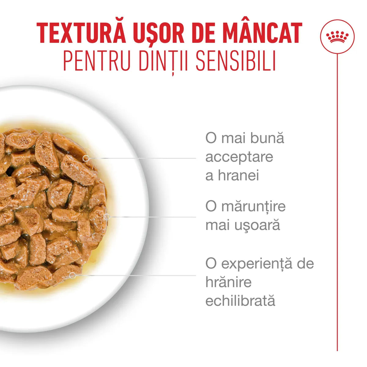 Royal Canin Royal Canin Ageing +11 Plic 85 G - imagine 2