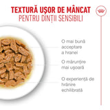 Royal Canin Royal Canin Ageing +11 Plic 85 G - imagine 2