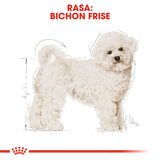 Royal Canin Royal Canin Bichon Frise Adult - imagine 3