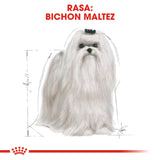 Royal Canin Royal Canin Maltese Adult - imagine 3