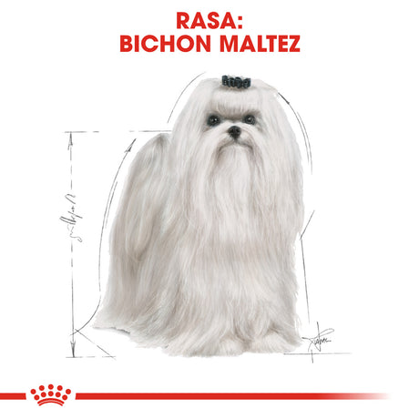 Royal Canin Royal Canin Maltese Adult - imagine 3